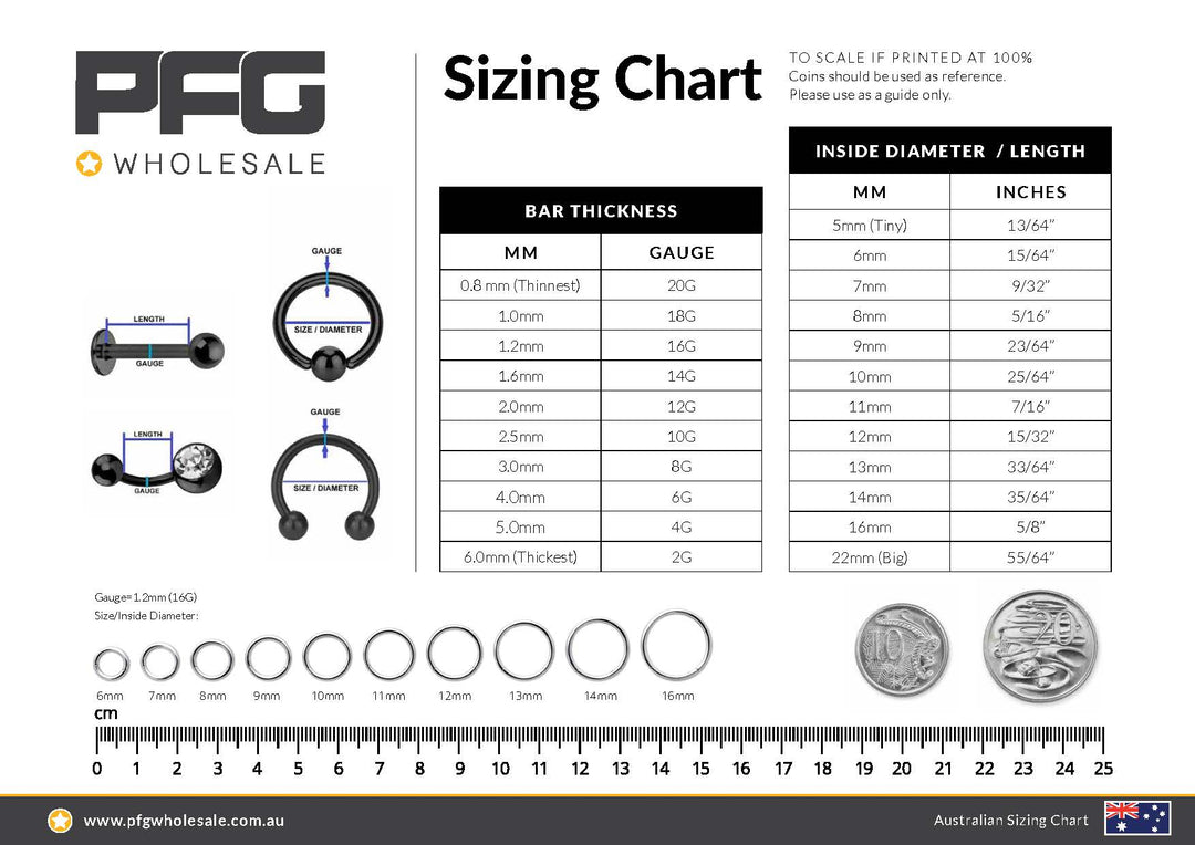 1 Pair 20G - 14G Stainless Steel Hinged BCR Ball Closure Segment Ring Earrings 6mm - 10mm - PFGWholesale