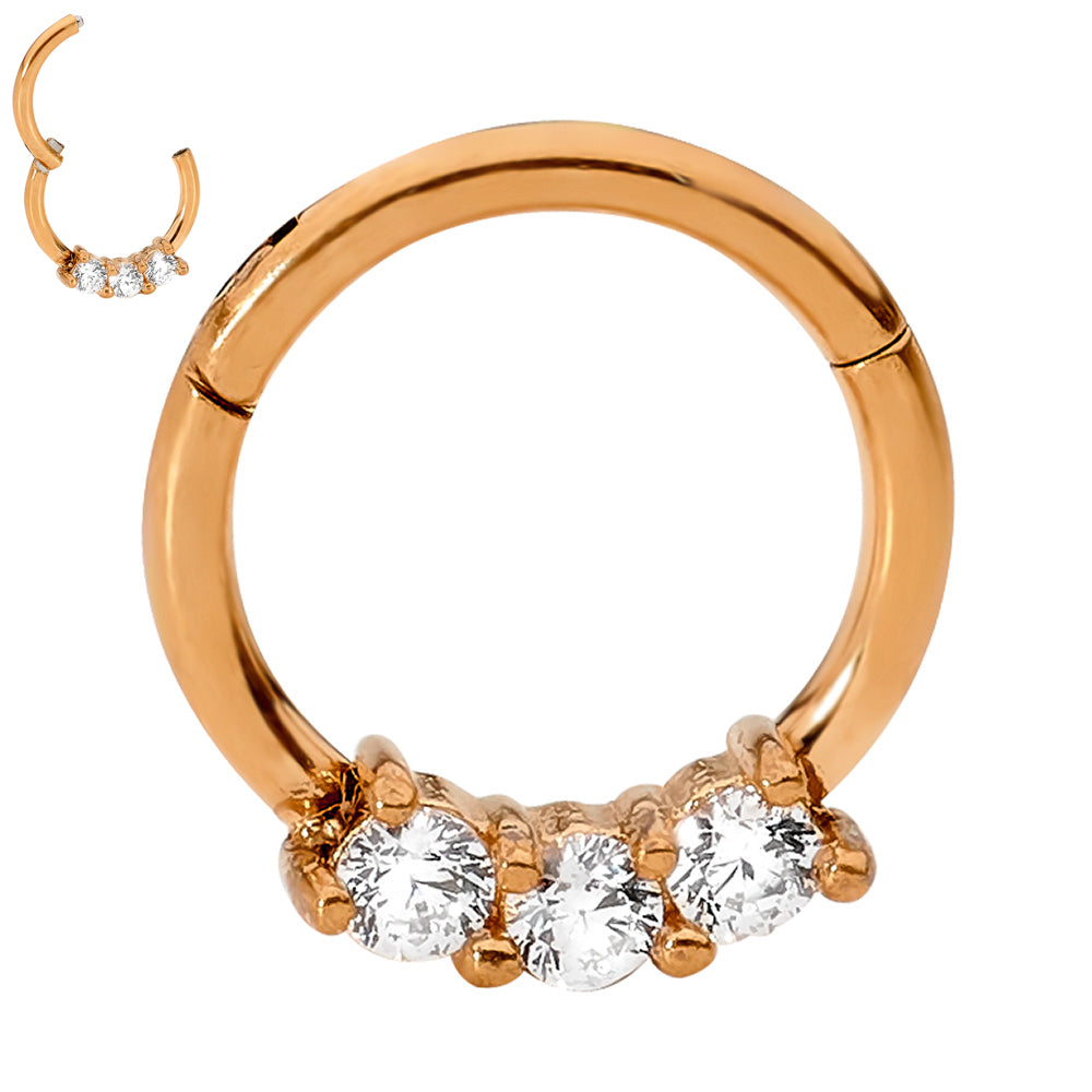 2pcs Surgical Steel Gem Hinged Hoop Segment Ring Earrings - PFGWholesale