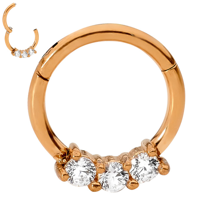 2pcs Surgical Steel Gem Hinged Hoop Segment Ring Earrings - PFGWholesale