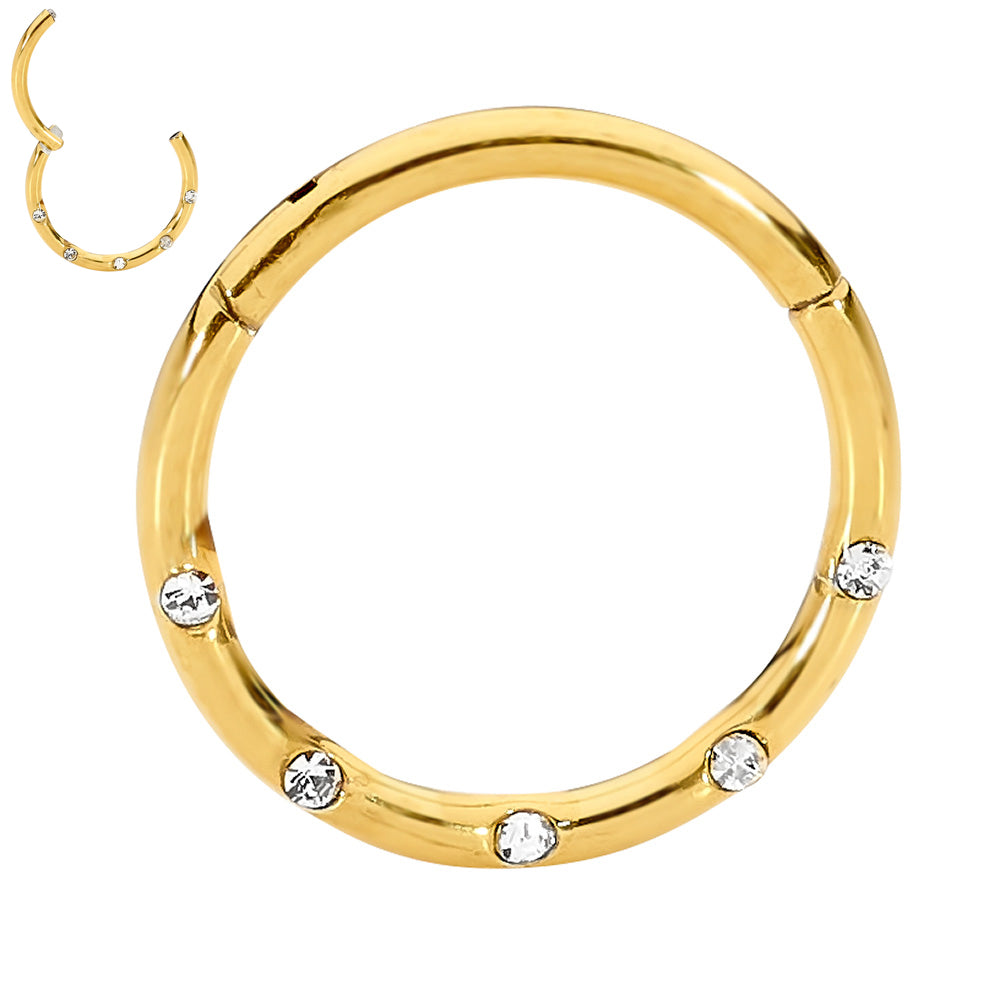 2pcs Surgical Steel Gem Hinged Hoop Segment Ring Earrings - PFGWholesale