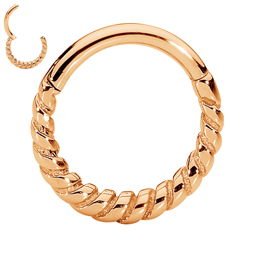 2pcs Surgical Steel Twist Hinged Hoop Segment Ring Earrings - PFGWholesale