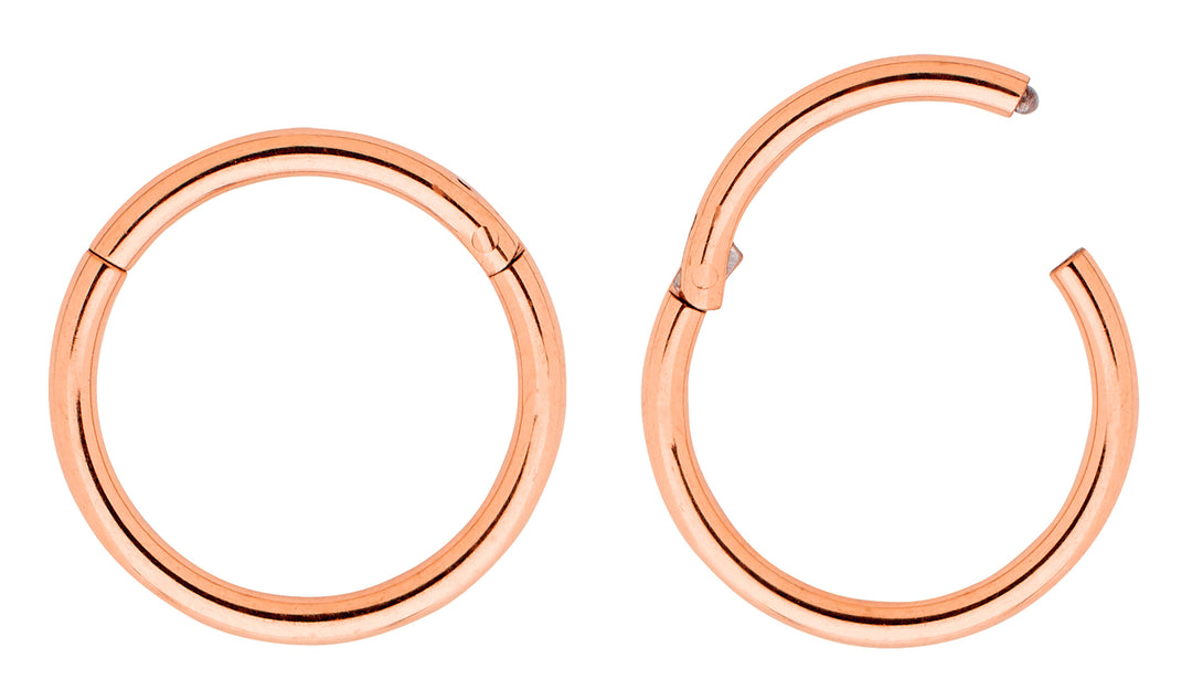1 Pair 16G (thickest) Titanium Polished Hinged Hoop Segment Rings Sleeper Earrings 6mm - 16mm - PFGWholesale