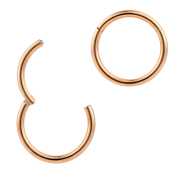 2pcs 16G Surgical Steel Hinged Hoop Segment Ring Earrings