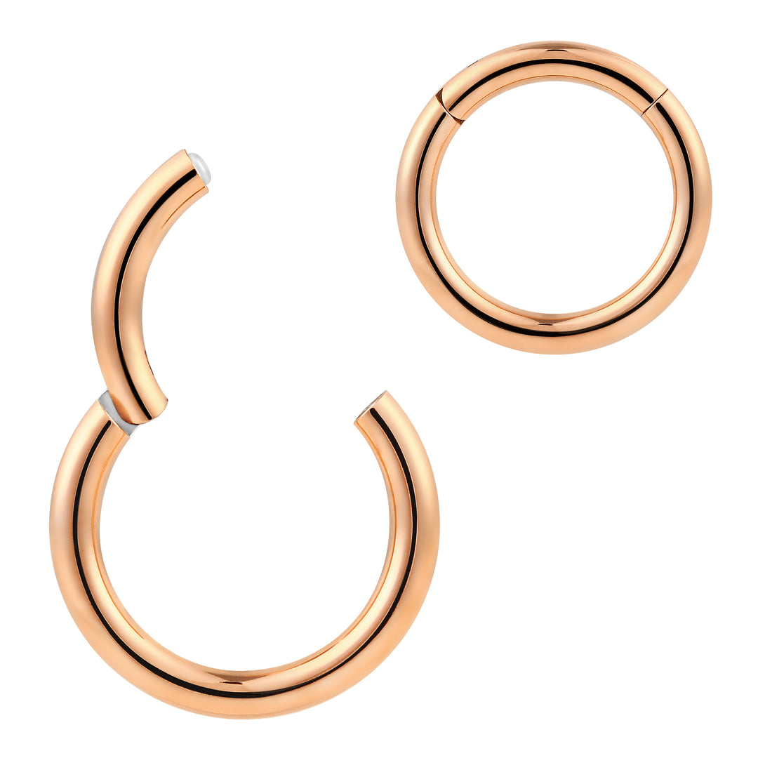 2pcs 14G (Thick) Surgical Steel Hinged Hoop Segment Ring Earrings