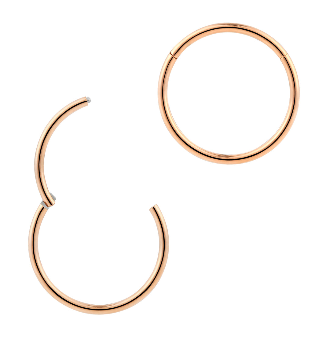 2pcs 18G Surgical Steel Hinged Hoop Segment Ring Earrings