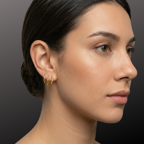 2pcs 16G Surgical Steel Hinged Hoop Segment Ring Earrings