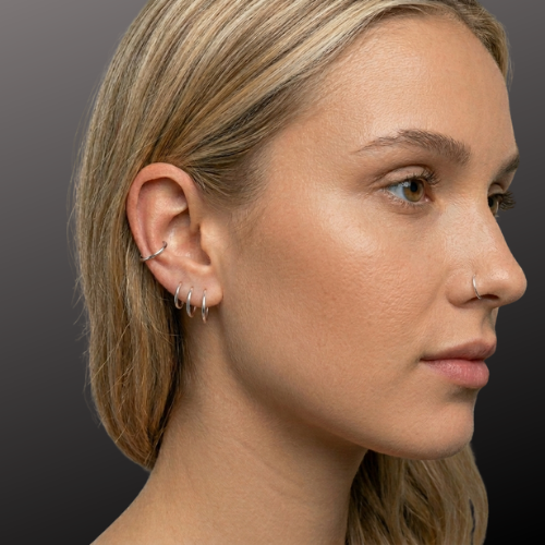 2pcs 18G Surgical Steel Hinged Hoop Segment Ring Earrings