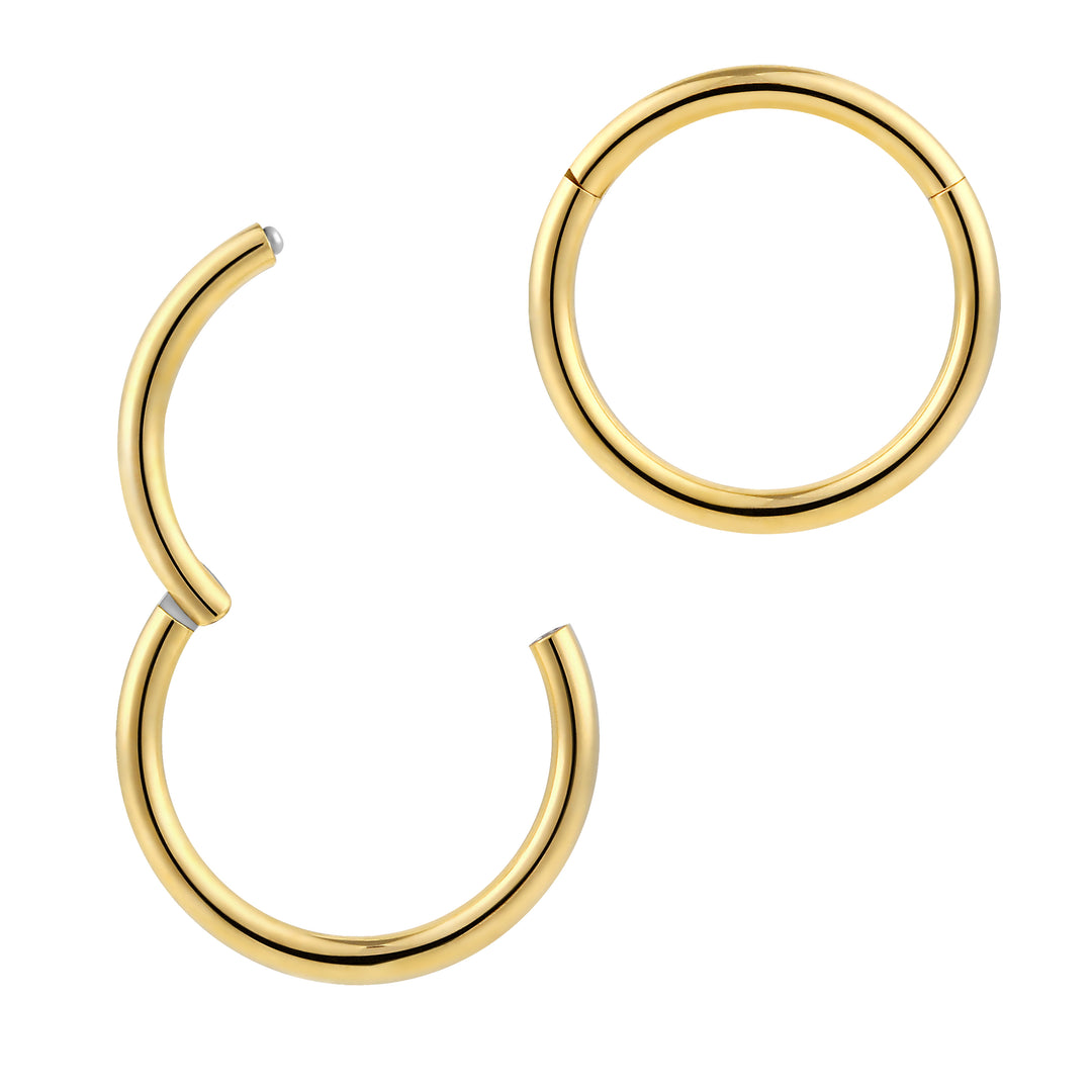 2pcs 16G Surgical Steel Hinged Hoop Segment Ring Earrings