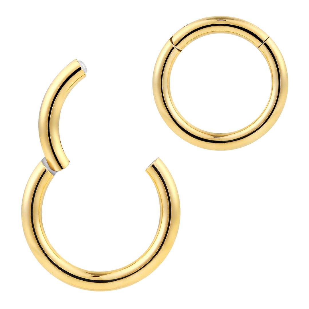 2pcs 14G (Thick) Surgical Steel Hinged Hoop Segment Ring Earrings