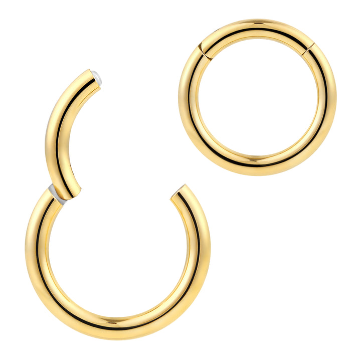 1pc 12G 10G 8G 6G (Very Thick) Titanium Hinged Hoop Segment Ring