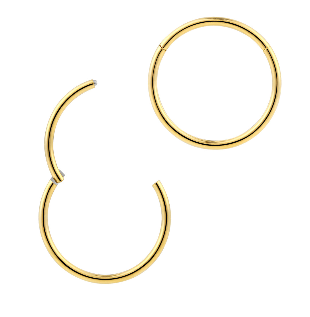 2pcs 18G Surgical Steel Hinged Hoop Segment Ring Earrings