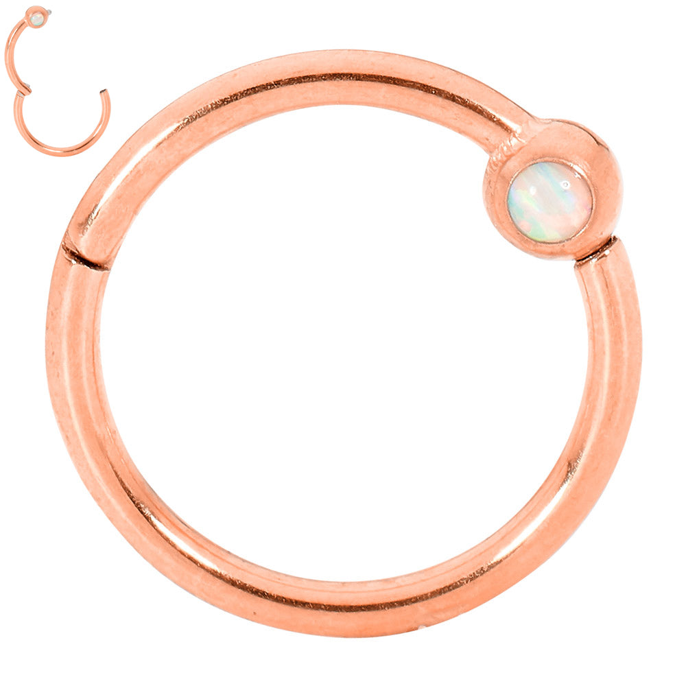 2pcs Surgical Steel Opal Hinged Hoop Segment Ring Earrings - PFGWholesale