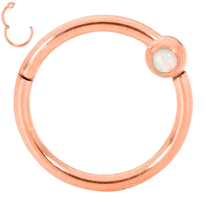 2pcs Surgical Steel Opal Hinged Hoop Segment Ring Earrings - PFGWholesale