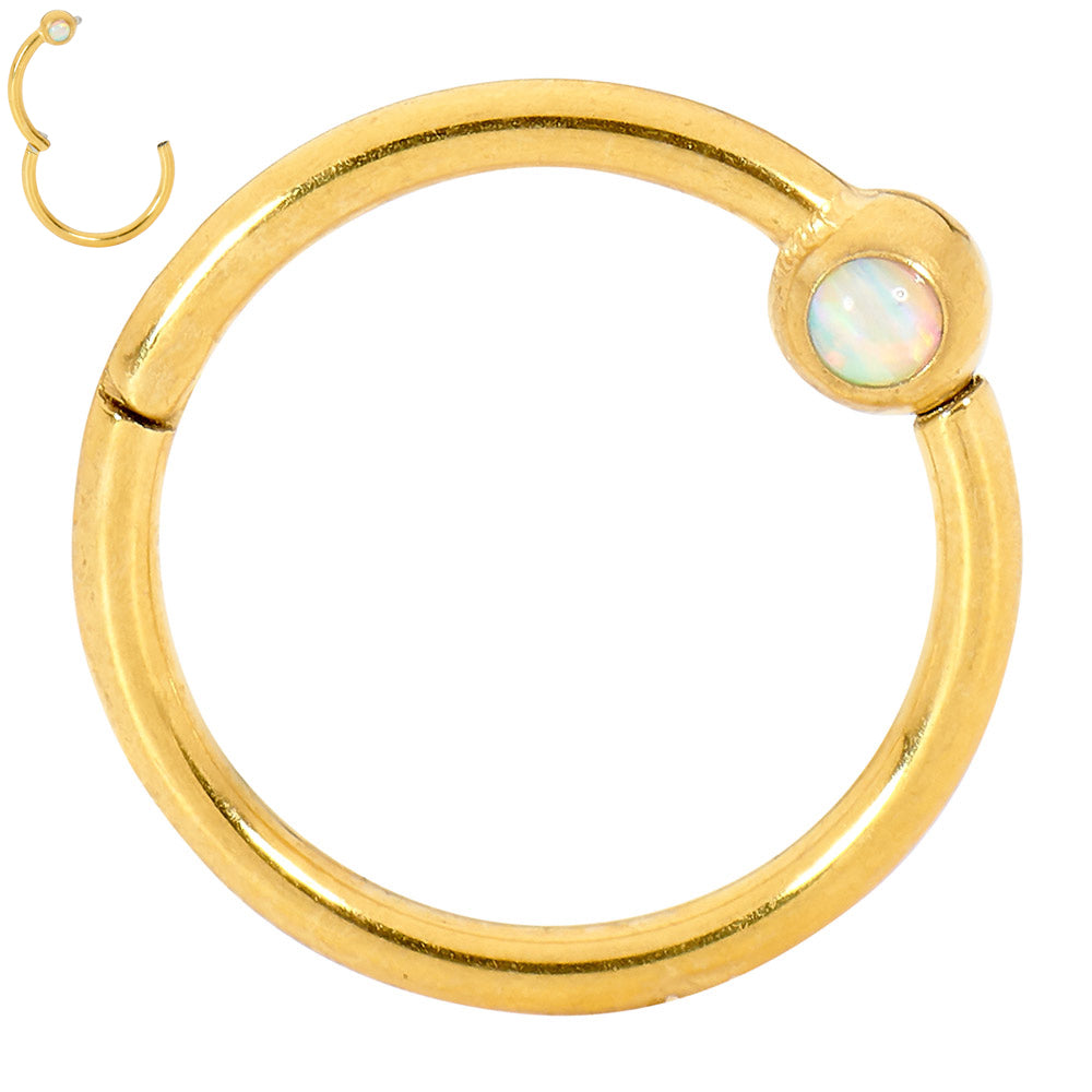 2pcs Surgical Steel Opal Hinged Hoop Segment Ring Earrings - PFGWholesale