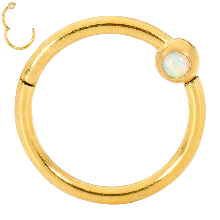 2pcs Surgical Steel Opal Hinged Hoop Segment Ring Earrings - PFGWholesale