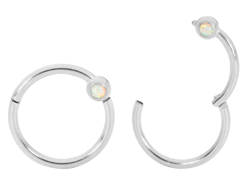 365 Sleepers 1 Pair Stainless Steel Opal Hinged Sleeper Earrings - PFGWholesale